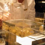 タパス モラキュラーバー - 