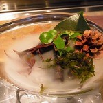 タパス モラキュラーバー - 