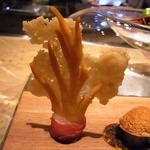 タパス モラキュラーバー - 