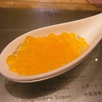 タパス モラキュラーバー - 