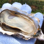 海の駅しおじ - 焼き牡蠣(ブルーシートの影響受けないとこまで持ってって撮影w)