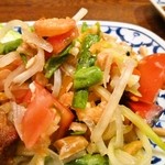 Tha Chang - 青パパイヤサラダ「あっぷ図」