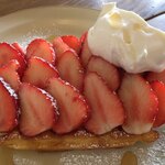 カフェ・サンクチュアリ - 