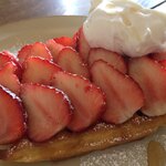 カフェ・サンクチュアリ - 