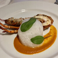 IL PINOLO 梅田 -  IL PINOLO 梅田 -