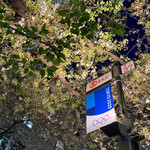 鶏料理専門店 とりかく - 