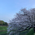 鶏料理専門店 とりかく - 