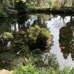 明神そば - 店から下に降りた水源地