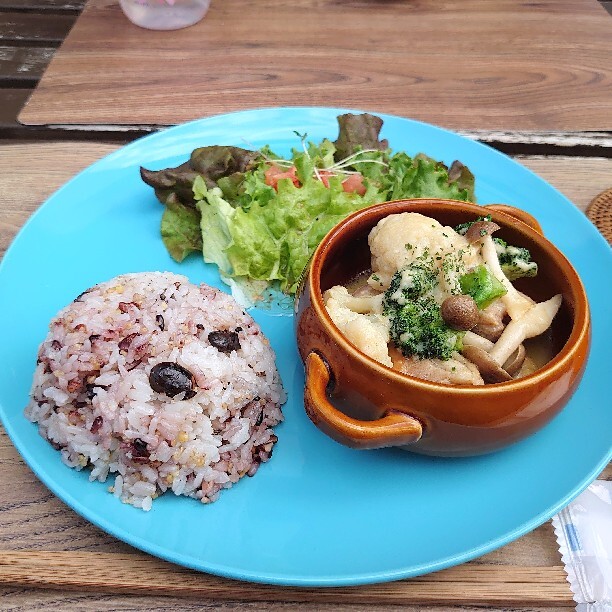 カフェ Shiny シャイニー 社家 カフェ 食べログ