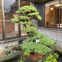 人丸花壇 - 