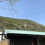 コナラ - 店裏からの風景
