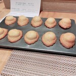 SUGALABO - かわいいマドレーヌ