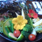 El Comal mexican kitchen - ガーデンサラダ。フレッシュな野菜がたっぷり。