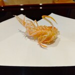 天ぷら たけうち - 車海老