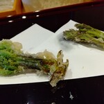 天ぷら たけうち - 天然コシアブラ、たらの芽