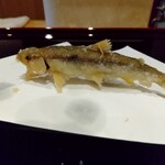 天ぷら たけうち - 大分の稚鮎