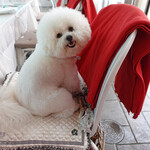 エビスエスクラッシコ - お客様まだ？