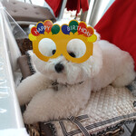 エビスエスクラッシコ - ２歳になりました・・♡