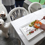 エビスエスクラッシコ - もう少し待ってね〜♡