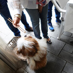 エビスエスクラッシコ - 最初はゲストから・・