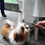 エビスエスクラッシコ - お箸は初めて〜でも上手に！