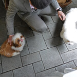 エビスエスクラッシコ - "It was good" says, Yoda.