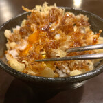 TTKG (Rice with tempura and egg)