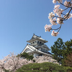 Shiotsukaidou Adikamanosato - 長浜城の桜