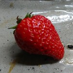 とん吉 - 