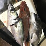 魚料理 紬家 - 