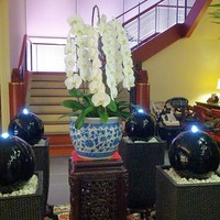 萬珍樓 本店 - 