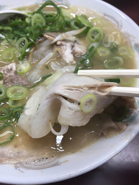 大黒ラーメン 本店 ダイコクラーメン 桃山御陵前 ラーメン 食べログ 大黒ラーメン 本店 ダイコクラーメン 桃山御陵前 ラーメン 食べログ