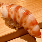 鮨 さかい - 　天草の車海老