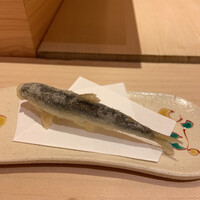 鮓処 ひろ志 - 稚鮎