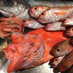 Hokkaidoubussan - ある日届いた鮮魚たち