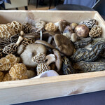 プレゼンテ スギ - 