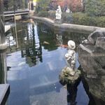 Masaoka - 外の池にコイが居るよ