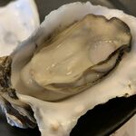 Oyster Garage 389 - 