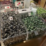 CACAOCAT 白金台店 - 