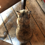 バナナウィンズ - 