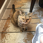 バナナウィンズ - 