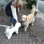 Rue Favart - に会えてビーチェは嬉しくて