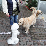 Rue Favart - メンシェンしちゃいました！