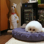 Rue Favart - Thank you for a nice bed!