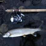 トンカツ 浅井 - レイクトラウト