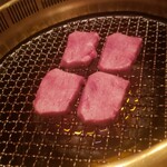 Ushigoro Ginza - 