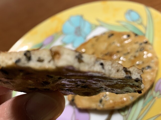 モミの木 - 東金井（その他）の写真