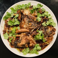 魚各種