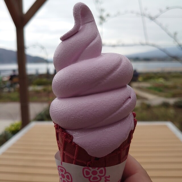 富士山の見えるカフェ Cafe With A View Of Mt Fuji 河口湖 喫茶店 食べログ