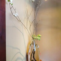 Cucina Italiana 東洞 - 